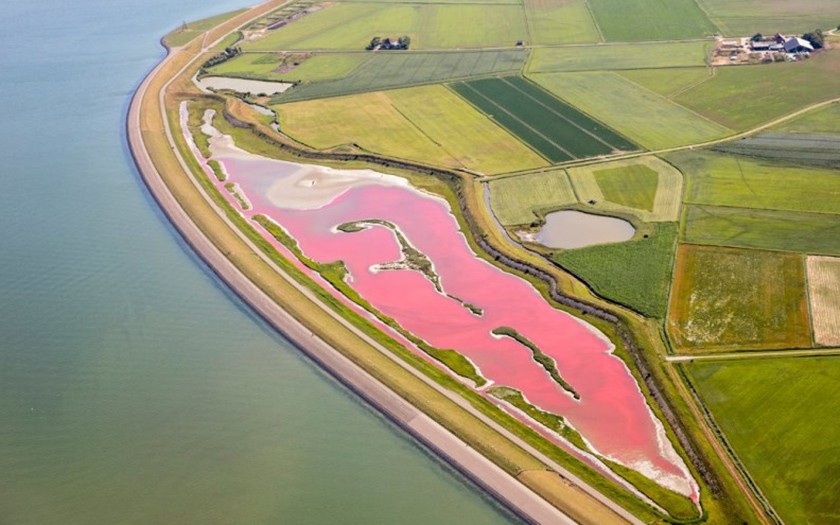 Texel heeft een roze meer Ecomare Texel