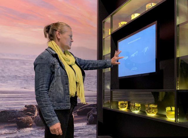 Wonderlijk Wad: een tentoonstelling over Unesco Werelderfgoed Waddenzee