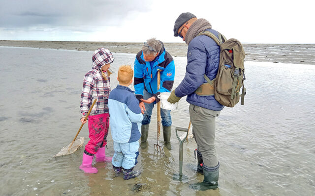 Ecomare in de Herfstvakantie - excursie op het wad