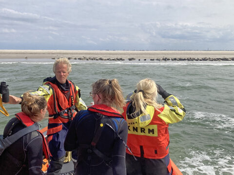 Mensen in kleding KNRM kijken vanaf een boot naar zeehonden op de zandplaat.